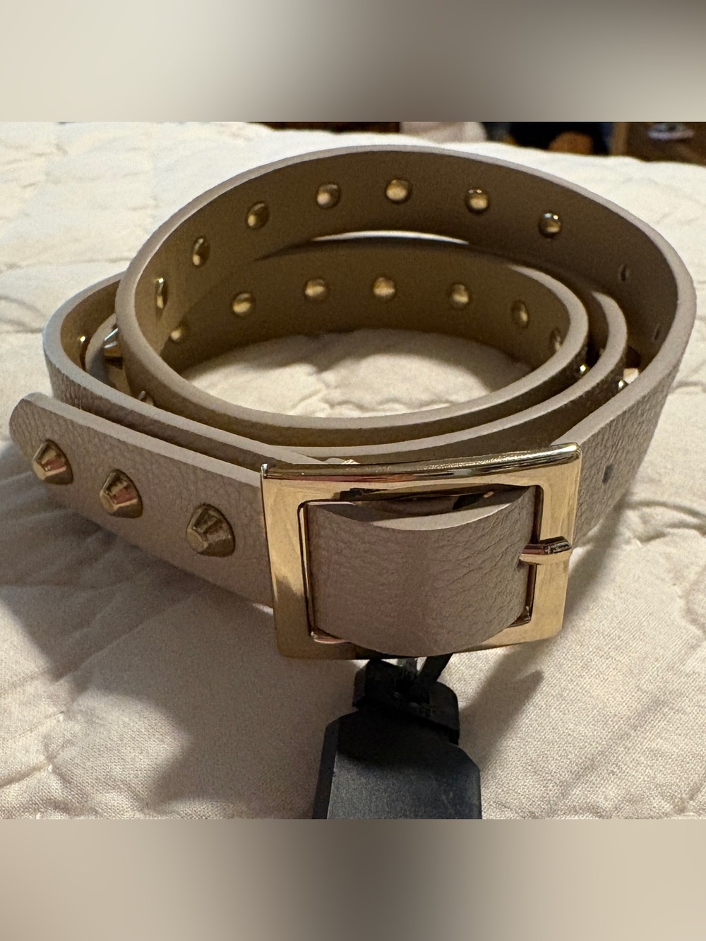 The Limited Taupe Leather Stud Belt with Gold Buckle